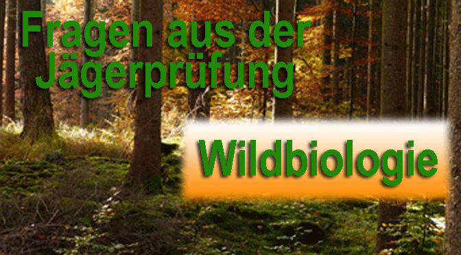 Jagdprüfung Wildbiologie