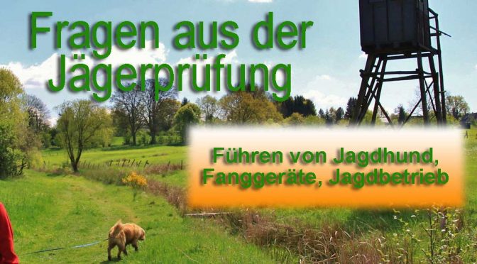 Prüfungsfach: Führen von Jagdhund, Fanggeräte…
